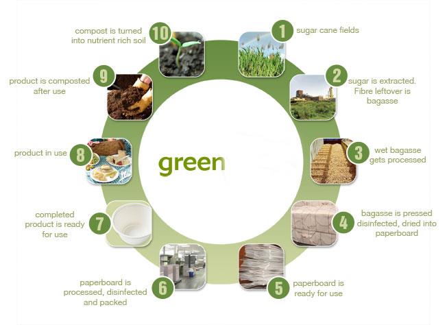 disposable sugarcane tableware